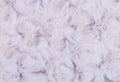 Polar Mitts Child – Kids Figure Skating Gloves